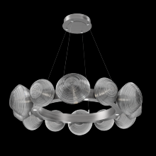 Hammerton CHB0089-36-SN-S-CA1-L1 - Mesa Radial Ring - 36-Inch