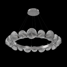 Hammerton CHB0089-48-SN-S-CA1-L3 - Mesa Radial Ring - 48-Inch