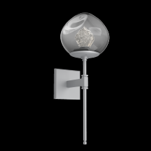 Hammerton IDB0095-03-CS-ZS-L1 - Luna Belvedere Sconce