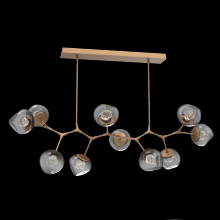Hammerton PLB0095-BC-NB-ZS-001-L1 - Luna Modern Branch - 10pc