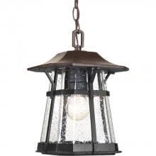 Progress P5579-84 - Derby Collection One-Light Hanging Lantern