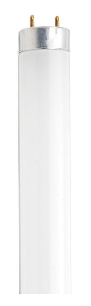 15 Watt; T8; Fluorescent; 6500K Daylight; 76 CRI; Medium Bi Pin base; Shatter Proof