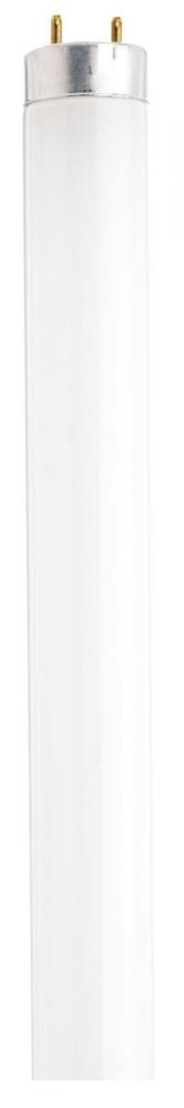 17 Watt; T8; Fluorescent; 3000K Warm White; 82 CRI; Medium Bi Pin base; Shatter Proof