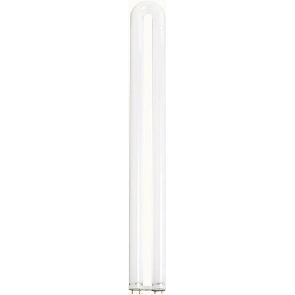 31 Watt; T8; U-Bend Fluorescent; 4100K Cool White; 82 CRI; Medium Bi Pin base; Shatter Proof