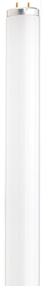 40 Watt; T12; Fluorescent; 3600K Neutral White; 86 CRI; Medium Bi Pin base; Shatter Proof